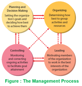 Management Process