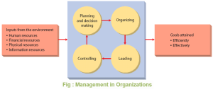 Management in Organizations