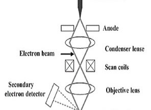Electron microscope method