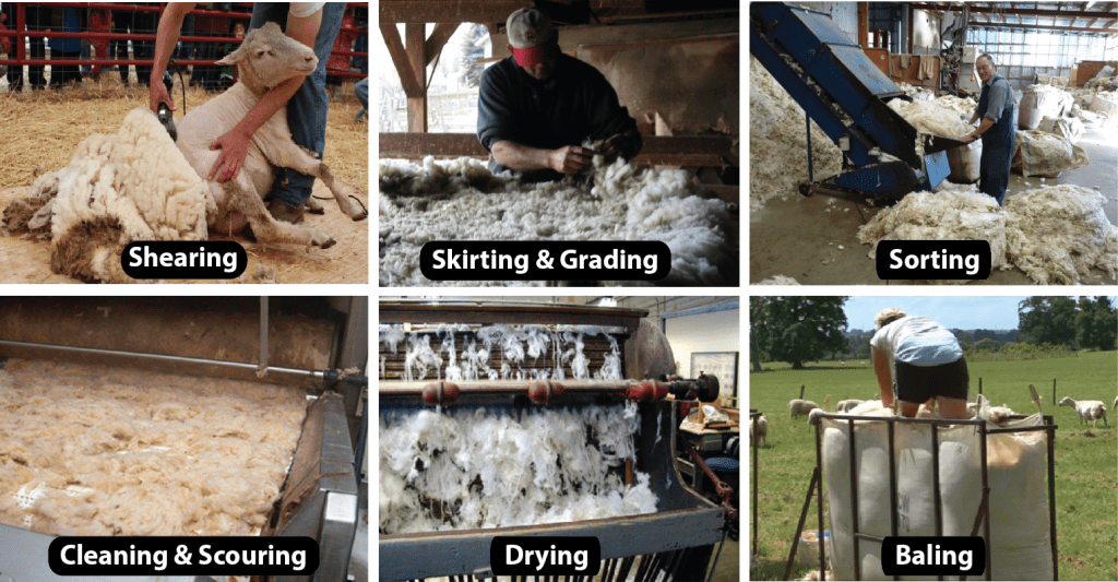 Wool Fibre Manufacturing Process of Wool Fibre Part 02 Textile
