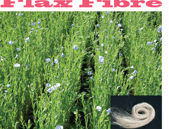 Flax Fiber: A Brief Discussion | Flax Fibre Cultivation | Flax Fibre ...
