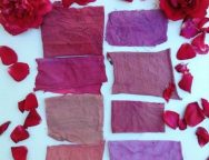 Fabric colouring with rose petals