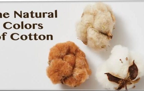 Natural Colors of Cotton Yarn